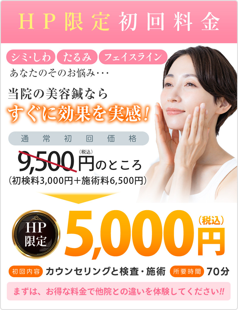HP初回料金:5,000円